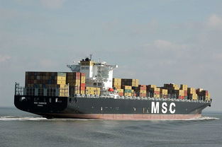 移民搬家與海上國際貨運代理 一站式報價與廠家合作指南