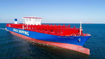 新年開門紅！中遠(yuǎn)海運(yùn)多艘新船命名交付，助力國(guó)際海運(yùn)物流網(wǎng)絡(luò)優(yōu)化升級(jí)